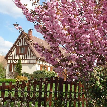 Jumièges Chambres D'Hotes Au Temps Des Cerises מראה חיצוני תמונה
